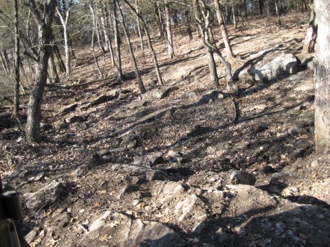 2005 Jeep Wrangler - A wooded hillside is covered in rocks and fallen leaves, with bare trees casting shadows.
