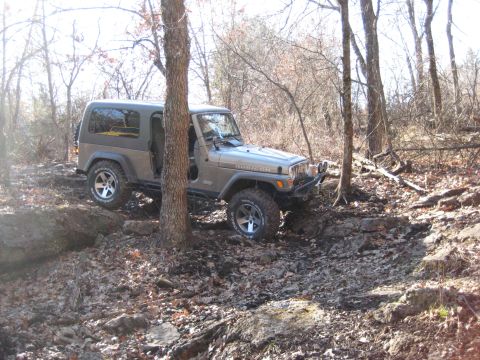 2005 Jeep Wrangler - A 2005 Jeep Wrangler TJ Rubicon navigates a challenging off-road path through trees and rocks.