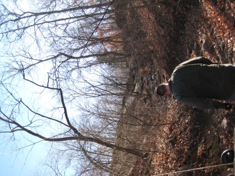 2005 Jeep Wrangler - A person stands in a wooded area during the daytime, surrounded by trees and dry foliage.