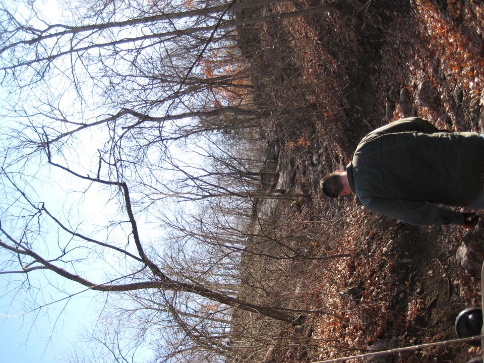 Person in a wooded area with bare trees and dry leaves