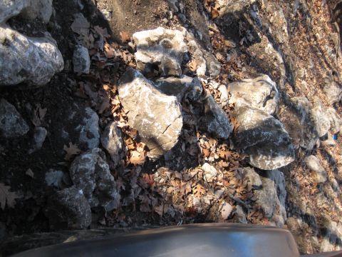 2005 Jeep Wrangler - A close-up view of rocks and autumn leaves on the ground, with a portion of a vehicle's hood in the foreground.