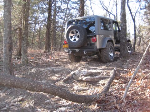 2005 Jeep Wrangler - A tan Jeep Wrangler navigates a challenging, rocky path through a dense forest.