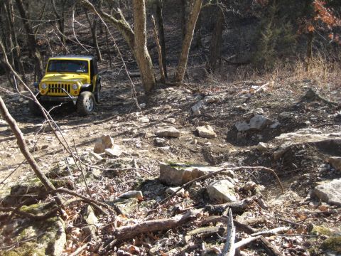2005 Jeep Wrangler - Yellow 2005 Jeep Wrangler navigating a rocky, off-road path in a wooded area.