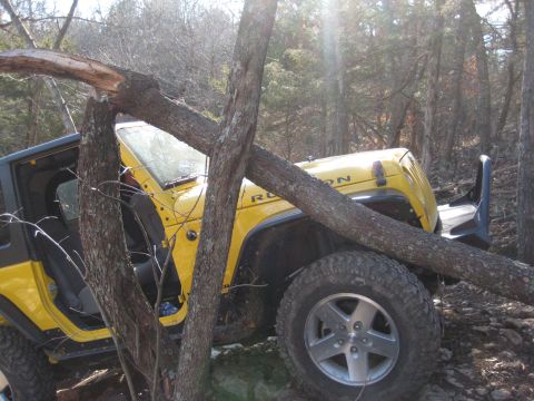 2005 Jeep Wrangler - A yellow Jeep Wrangler is partially obstructed by a fallen tree while navigating a wooded trail.
