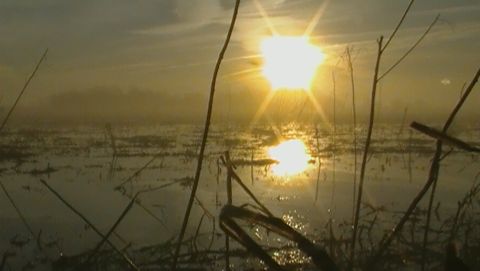 1993 Ford Bronco - Sunrise over a marshy area with reeds in the foreground and a bright sun reflecting on the water.