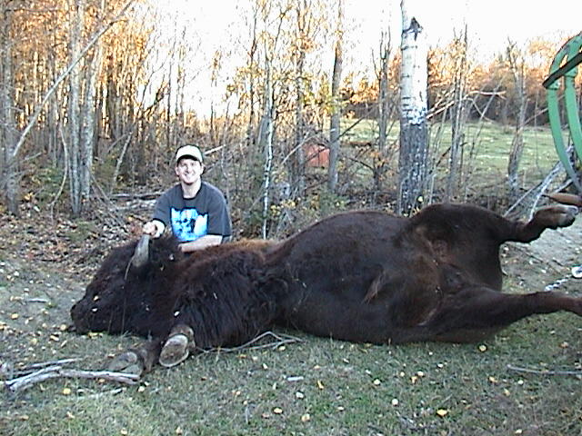 Man posing behind a large dead bison in a grassy field at sunset