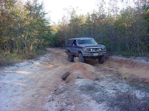1986 Ford Bronco - more clydes
