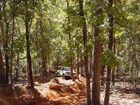 1986 Ford Bronco - A white SUV navigates a dirt path in a wooded area, with a watermark indicating the source.