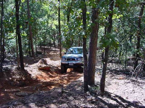 1986 Ford Bronco - SUV navigates a challenging off-road path through a dense forest.