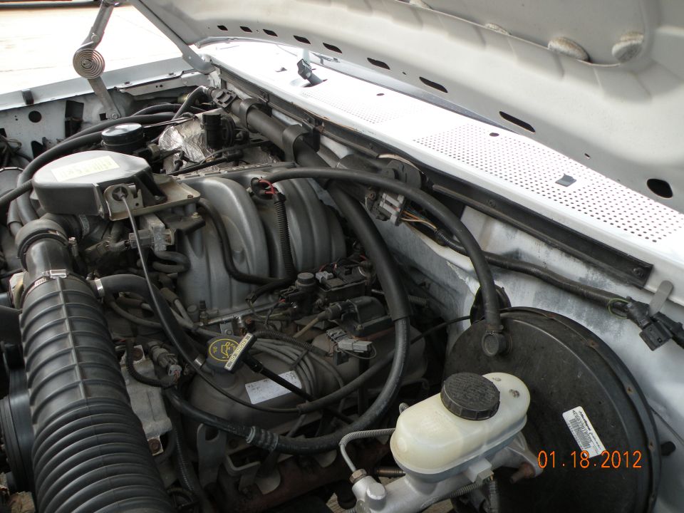 Engine bay with V8 intake manifold and brake booster