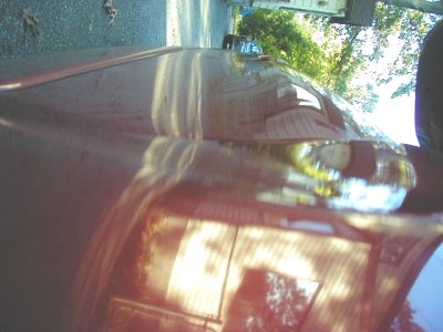 1997 Ford Taurus - The car's paint is reflecting the surroundings, making it hard to see details.