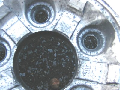 1997 Ford Taurus - This close-up shows a dirty engine part with visible debris in the bolt holes.
