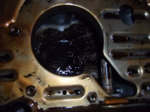 1991 Ford Taurus - The oil pan shows significant sludge and residue, indicating potential maintenance issues.