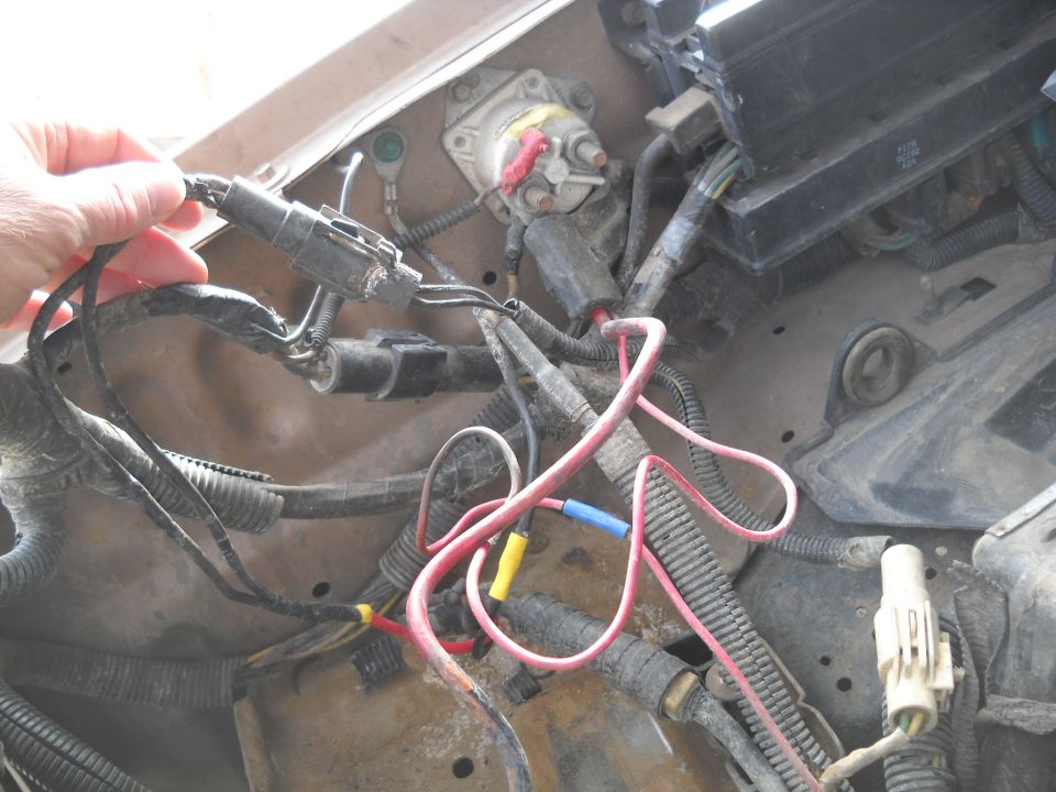 Close-up of engine wiring harness with connectors and red/pink wires