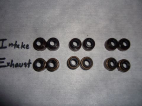 1991 Ford Taurus - Valve stem seals are shown, labeled as intake and exhaust, on a textured surface.
