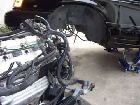 1991 Ford Taurus - Engine removed from a 1991 Ford Taurus, car is on jack stands with front wheel assembly exposed.
