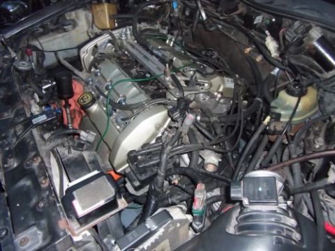 1991 Ford Taurus - Close-up view of a vehicle's engine bay, showing intricate wiring and mechanical parts.