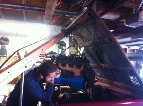 1968 Ford Bronco - A blue-painted engine hangs from a chain hoist above the open engine bay of a red vehicle in a home garage, with the valve cover and bare e…