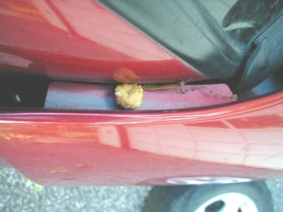 1997 Ford Taurus - Debris is lodged in the seam of a red vehicle's body panel.