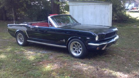 1965 Ford Mustang - A black 1965 Ford Mustang convertible is parked on a grassy area next to a white shed.