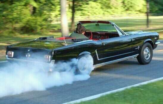 1965 Ford Mustang “Murphys Law”
