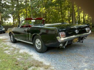 1965 Ford Mustang - Rear view of a black 1965 Ford Mustang convertible parked outdoors. The license plate is visible.