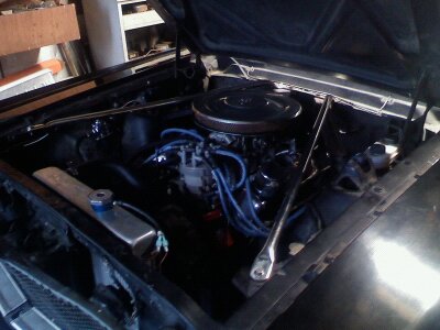 1965 Ford Mustang photo