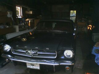 1965 Ford Mustang photo