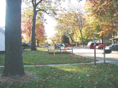 1997 Ford Taurus - Residential neighborhood scene in autumn with a large tree trunk in the foreground, a mailbox and sidewalk on a green lawn, and a suburban…