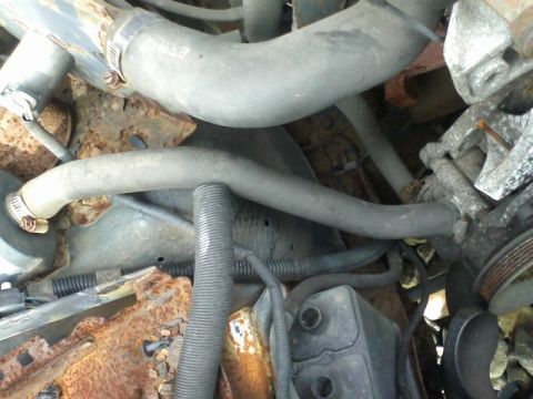 1988 Ford F-150 - Close-up view of engine bay components, including hoses and significant rust, with a watermark visible.