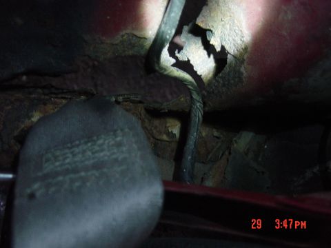 1988 Ford F-150 - Close-up view of a seatbelt buckle and heavily rusted metal, suggesting significant wear or damage to the vehicle's undercarriage.