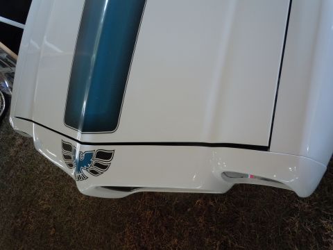 1982 Chevrolet Camaro - The hood of a white car features a blue racing stripe and a distinctive blue bird decal on the front corner.