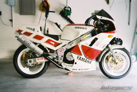 1999 Ford Ranger - Stray's 87 FZRR750 Works Kit racer