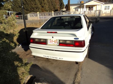 1989 Ford Mustang - White 1989 Ford Mustang GT shows its rear end and GT badging.