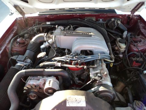 1989 Ford Mustang - Close-up of the 1989 Ford Mustang 5.0 HO engine bay.
