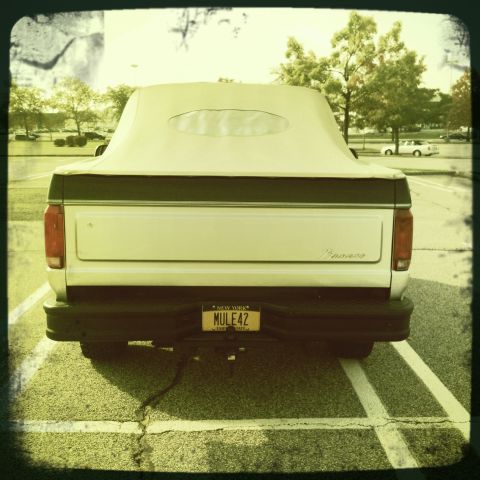 1992 Ford Bronco - Rear view of a white Ford Bronco with a tan soft top and a New York license plate.