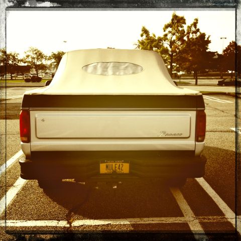 1992 Ford Bronco - Rear view of a 1992 Ford Bronco, its distinctive soft top with an oval window and "Bronco" badging.