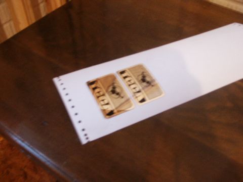 1998 Mercury Sable - Two gold badges with horse emblems are placed on a white paper sheet.