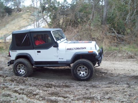 1989 Ford Bronco - White Jeep Wrangler with Harley Davidson hood decal on a dirt trail.