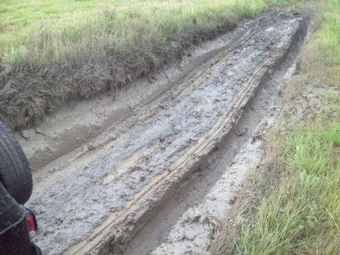1989 Ford Bronco - A muddy track with visible tire treads and grass on the sides. The Supermotors.net logo is in the lower right corner.