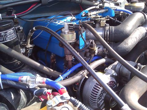 1992 Ford F-150 - Close-up view of an engine bay with various hoses and components, including blue valve covers and an alternator.