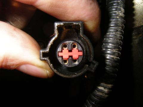 1990 Ford Bronco - A hand holds a black electrical connector with a red insert, revealing four gold terminals within. A ribbed black wire loom is visible to t…