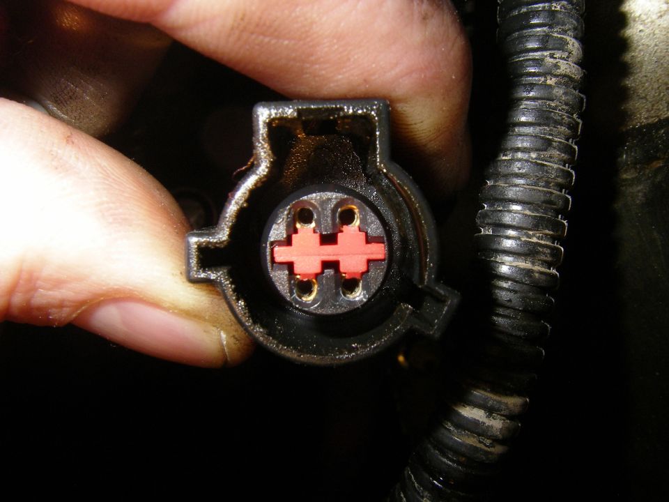 Close-up of a black electrical connector with a red insert and four gold terminals