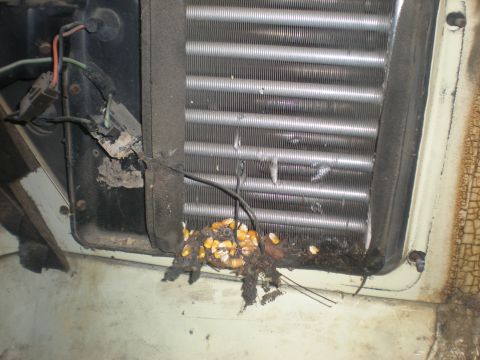 1978 Ford Bronco - Debris and corn kernels have accumulated on an air conditioning condenser unit.