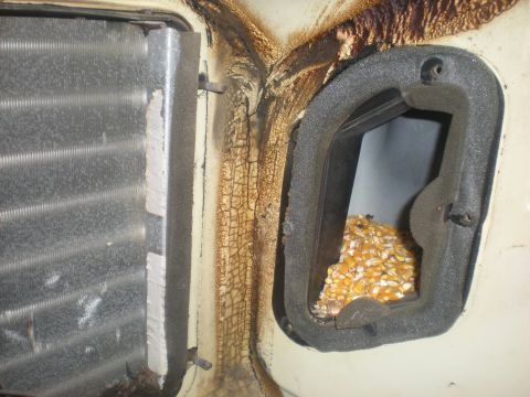 1978 Ford Bronco - HVAC evaporator core shows corrosion; a duct opening is filled with corn kernels.