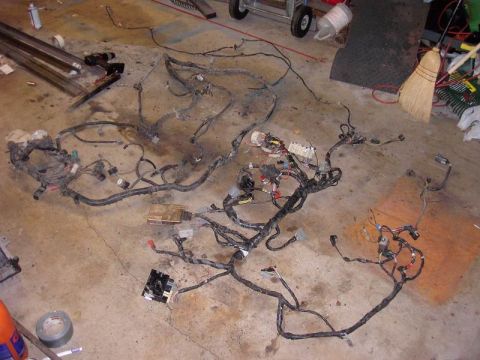 1980 Ford Bronco - A complex vehicle wiring harness is laid out on a garage floor, showing numerous wires and connectors.