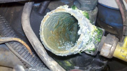 1978 Ford Bronco - Severe corrosion and buildup visible within a vehicle's coolant pipe, indicating a potential motor rebuild is necessary.