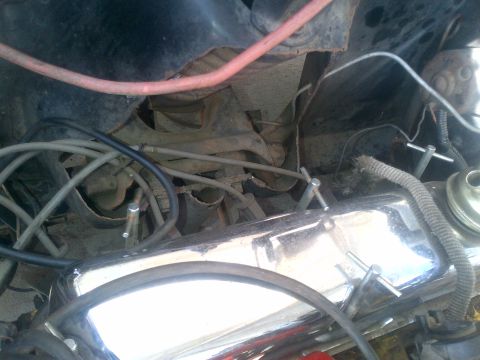 1965 Ford Mustang - Close-up view of an engine bay, showing chrome valve covers and a tangle of wires and hoses.