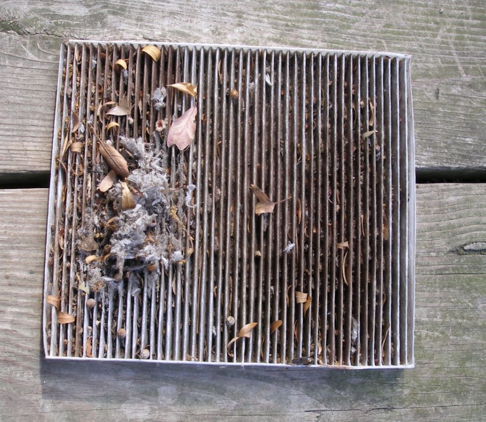 Cabin air filter clogged with leaves, dust, and debris