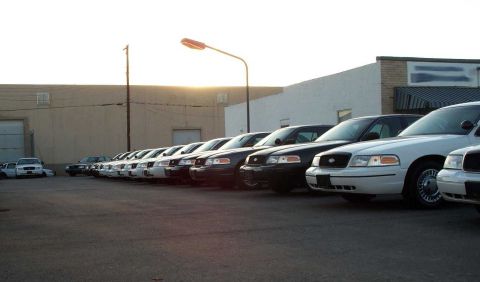 1998 Ford Crown Victoria - A row of '98 and up P71s.